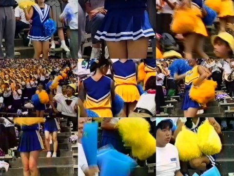 突撃チアマン秘蔵FIIE！野球編 No.5