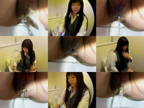 Hiroshi Toilets dwt002_0140_01